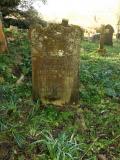 image of grave number 790672